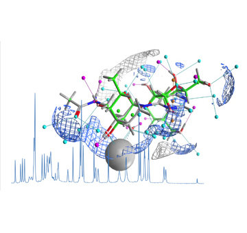 <p>The Research Group “Structural Glycobiology” has a strong focus on protein-ligand interactions using biophysical and computational techniques as well as cell-based methods. In particular, we are interested in glycan-binding proteins important to immunity, developing small molecular inhibitors as well as studying the recognition of their natural carbohydrate ligands. These findings are combined with functional studies of glycan-binding proteins in their native environment to foster our understanding of glycobiology in a structural context. <br /><br /></p>
<p>Keywords: <em>C-type lectins, NMR, immunology, targeted delivery</em></p>