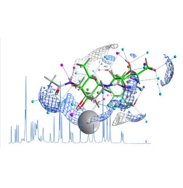Die Nachwuchsgruppe “Strukturelle Glykobiologie” beschäftigt sich mit Kohlenhydrat-Protein Wechselwirkungen und setzt hierfür biophysikalische und Computer-basierte Techniken ein, um diese zu studieren. Besonders interessieren wir uns für die Entwicklung von Inhibitoren dieser Erkennungsmechanismen. Anschließend werden mit diesen Substanzen biologische Prozesse studiert. Ziel ist es die Rolle der Kohlenhydrate auf molekularer Ebene besser zu verstehen und in den Kontext von Immunologie und Zellbiologie setzen zu können.
