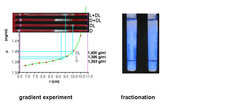 Fig. 3: Separation of DL-alanin crystals from the pure enantiomer crystals by density gradient ultracentrifugation in a Nycodenz gradient. The left figure (upper) shows the bands in the ultracentrifuge tubes and the lower part shows the corresponding calibration curve which allows the determination of the sample density. The right figure shows the separation of L- resp. D-alanin (upper band at meniscus) from the denser racemate (lower band) with a Nycodenz solution with intermediate density