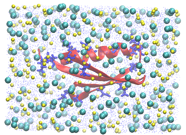 Halophilic protein (red) with negative residues in dark blue, in 3 M NaCl