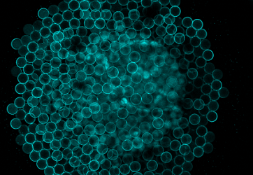 <strong>Multi-compartment lipid membrane systems<br /></strong>Eukaryotic cells have evolved membrane-bound sub-cellular organelles. The advantage of which is to provide spatial organisation of biomolecules, therefore allowing more diverse cellular functionalities.