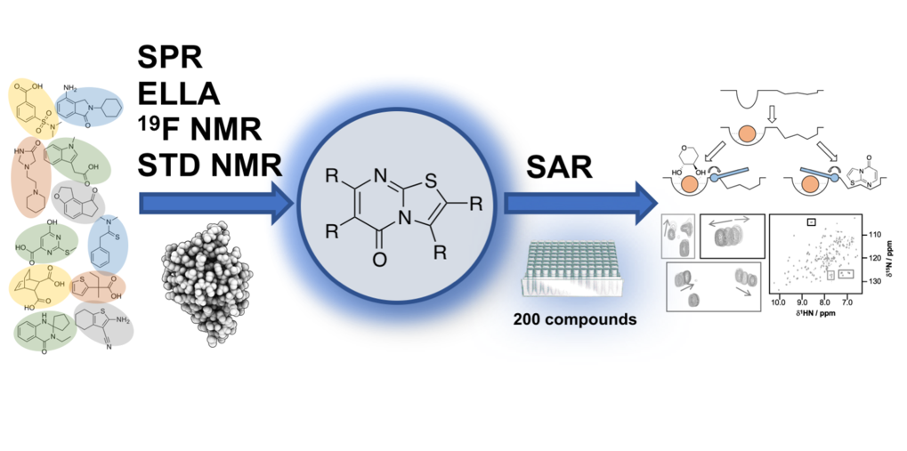 An allosteric inhibitor of murine Langerin was identified from fragment-based screening (Aretz et al., 2018)