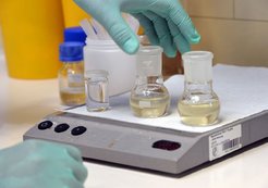 Gute Mischung: In den kleinen Glaskolben setzen die Potsdamer Chemiker Chitosan und Vanillin zu einem nachhaltigen Elektrodenmaterial um.