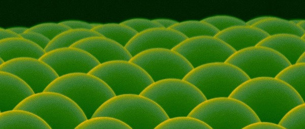 Hierarchical Structure of Biological and Bio-inspired Materials