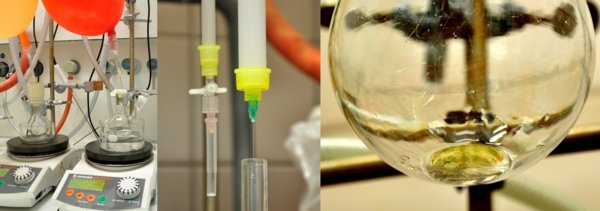 Glycobiology and Vaccine Development
