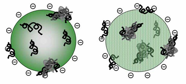 Interactions in Complex Monolayers / Prof. Dr. Gerald Brezesinski