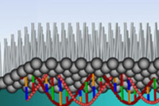 Lipid-DNA Interactions