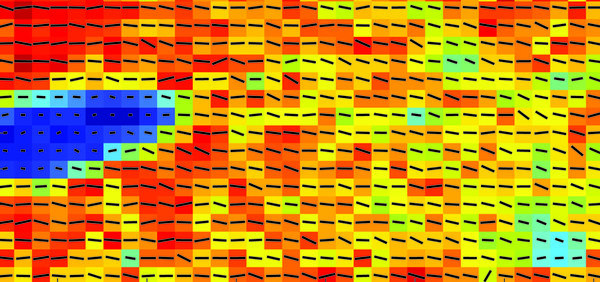 Collagen-based and mineralized materials, vibrational spectroscopy and chemical imaging
 