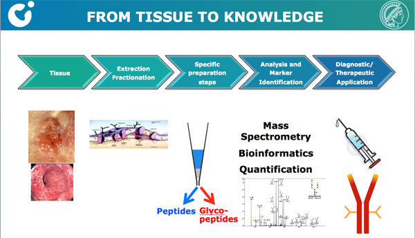 Workflow for Glycobiomarker Discovery