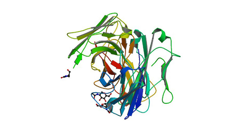 Glycoproteomics