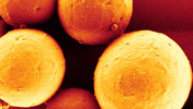 Polymeric  Biomimetics