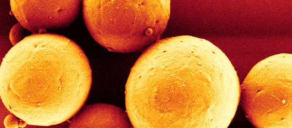 Polymerbasierte Biomimetika