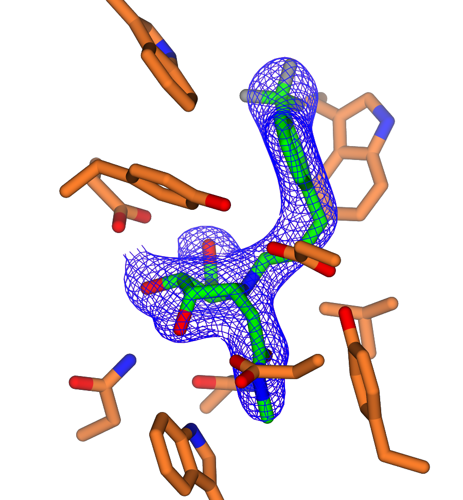 Carbohydrates: Structure and Function