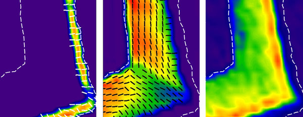 Bio-inspired Hybrid Materials and Synchrotron Research