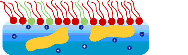 Interactions in Complex Monolayers