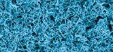 Electrophoretic Investigations of Particles