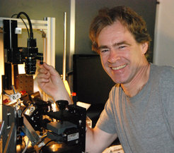 Dr. Hans Riegler