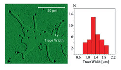 Fig. 3a: Surface partially covered with a solid alkane monolayer heated above melting and then rapidly cooled (→ fixed topology for AFM, trace width at the terrace edge = original droplet size).