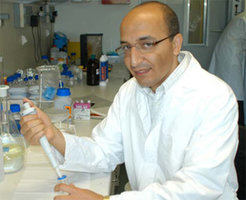 Prof. Abdel Salam Hamdy Makhlouf