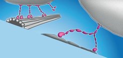Schematische Darstellung von molekularen Motoren