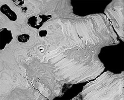 The complex patterns of mineral density variation in tesserae provide clues to growth mechanisms and mechanics. (Backscatter electron image)
