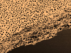 Porous polyelectrolyte membrane