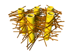 Illustration of the complex biostructure of dentin: the dental tubuli (yellow hollow cylinders, diameters appr. 1 micrometer) are surrounded by layers of mineralized collagen fibers (brown rods). The tiny mineral nanoparticles are embedded in the mesh of collagen fibers and not visible here.