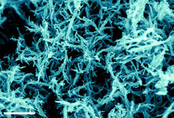 Ein Rezept für Nanofasern: Verschiedeneorganische Flüssigkeiten lassen sichgezielt zu kugel-, schicht- oder faserartigenNanostrukturen karbonisieren.