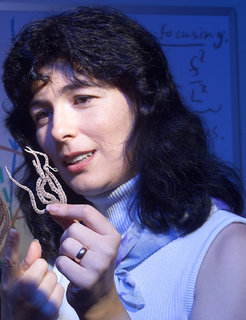 Prof. Joanna Aizenberg