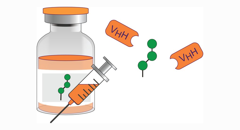 Glycan-Targeted Therapeutics