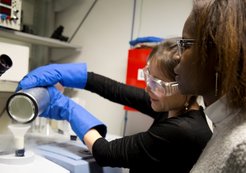 IMPRS-Studenten am Max-Planck-Institut für Kolloid- und Grenzflächenforschung