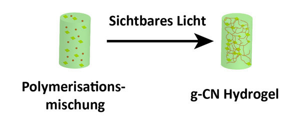 Kohlenstoffnitrid in der Polymerchemie