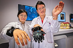 Die Nanyang Technology University und das Max-Planck-Institut für Kolloid- und Grenzflächenforschung haben ein gemeinsames Labor gestartet, welches Forschung an „Künstlichen Sinnen“ für die Robotik und das Gesundheitswesen durchführt.
