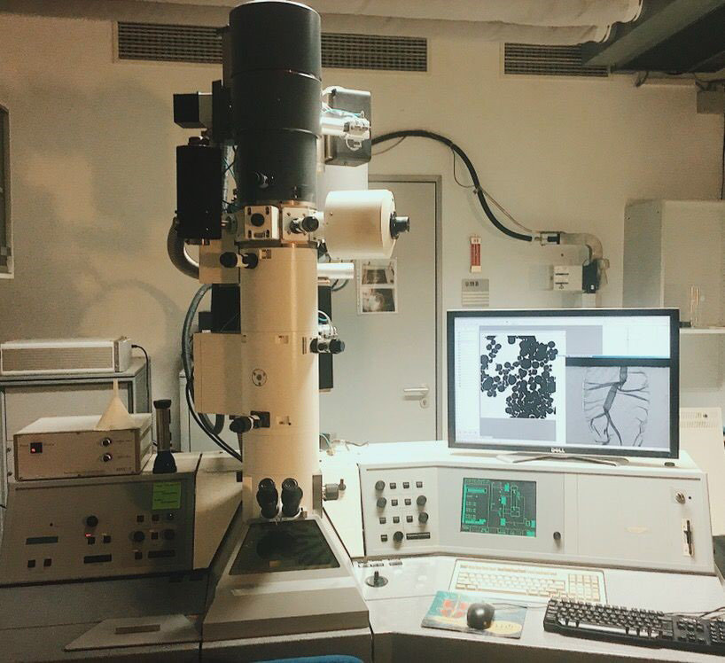 LaB<sub>6</sub> cathode
Lateral resolution: 0.37 nm
Point resolution: 0.34 nm
Accelerating voltage: 120 kV
Magnifications: 80-500000x
OMEGA-type in-column energy-filter
