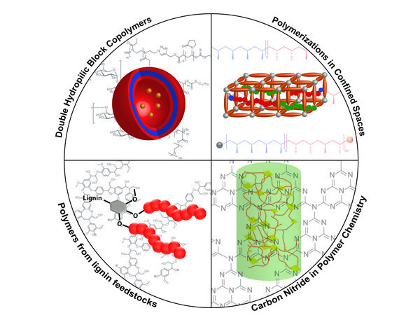 Novel Self-Assembly Polymers