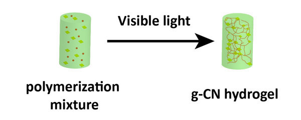 Carbon Nitride in Polymer Chemistry