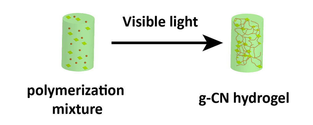 Carbon Nitride in Polymer Chemistry