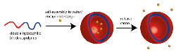 Double-hydrophilic block copolymer self-assembly 