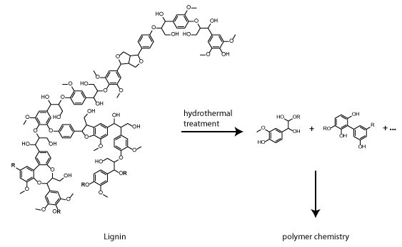 Polymers from Renewable Lignin Feedstocks