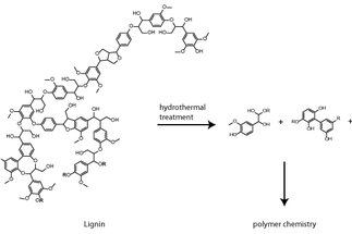 Polymers from Renewable Lignin Feedstocks