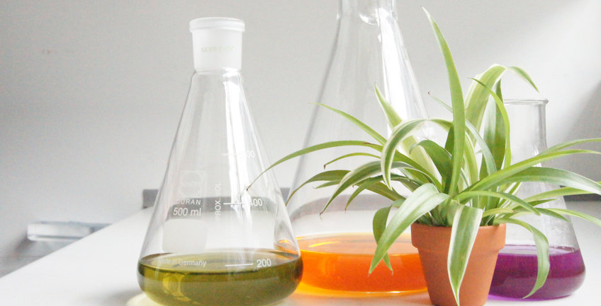 Sustainable Solvents for Green Processes