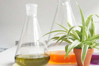 Sustainable Solvents for Green Processes