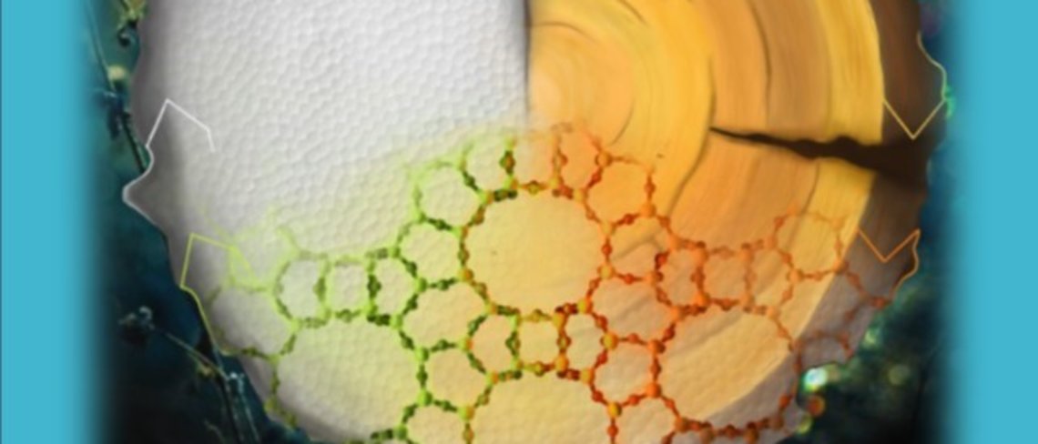 ChemSusChem 12 (2019) 2628