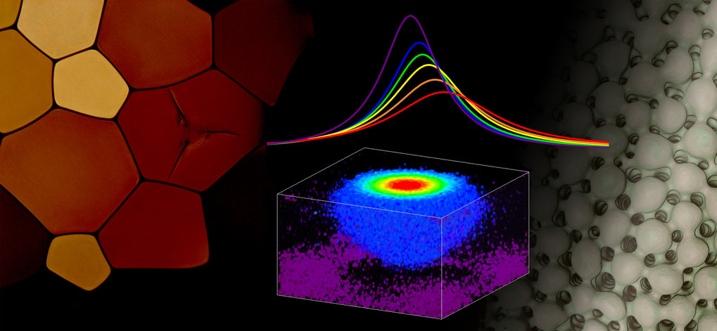 Micromechanics of Biological Materials