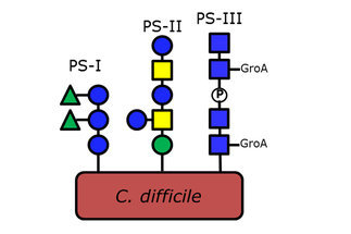 Research group publications