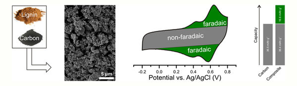 Battery Electrodes from Renewable Resources