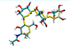 Glycosylphosphatidyl-Inositol anchors