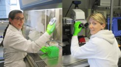 Dr. Laura Zorzetto, biomedical engineer at MPICI and Dr. Cécile Bidan, materials scientist and group leader in the Department of Biomaterials at MPICI