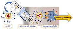Wirkprinzip des Langerhans Cell Targeted Delivery Systems (LC-TDS).