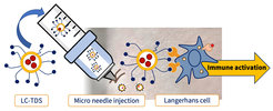 Working principle of the Langerhans Cell Targeted Delivery System (LC-TDS).